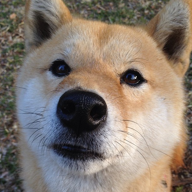 开云体育官网-时空裂缝中的篮球足球对决，洪都拉斯绝杀沙特的NBA式奇迹