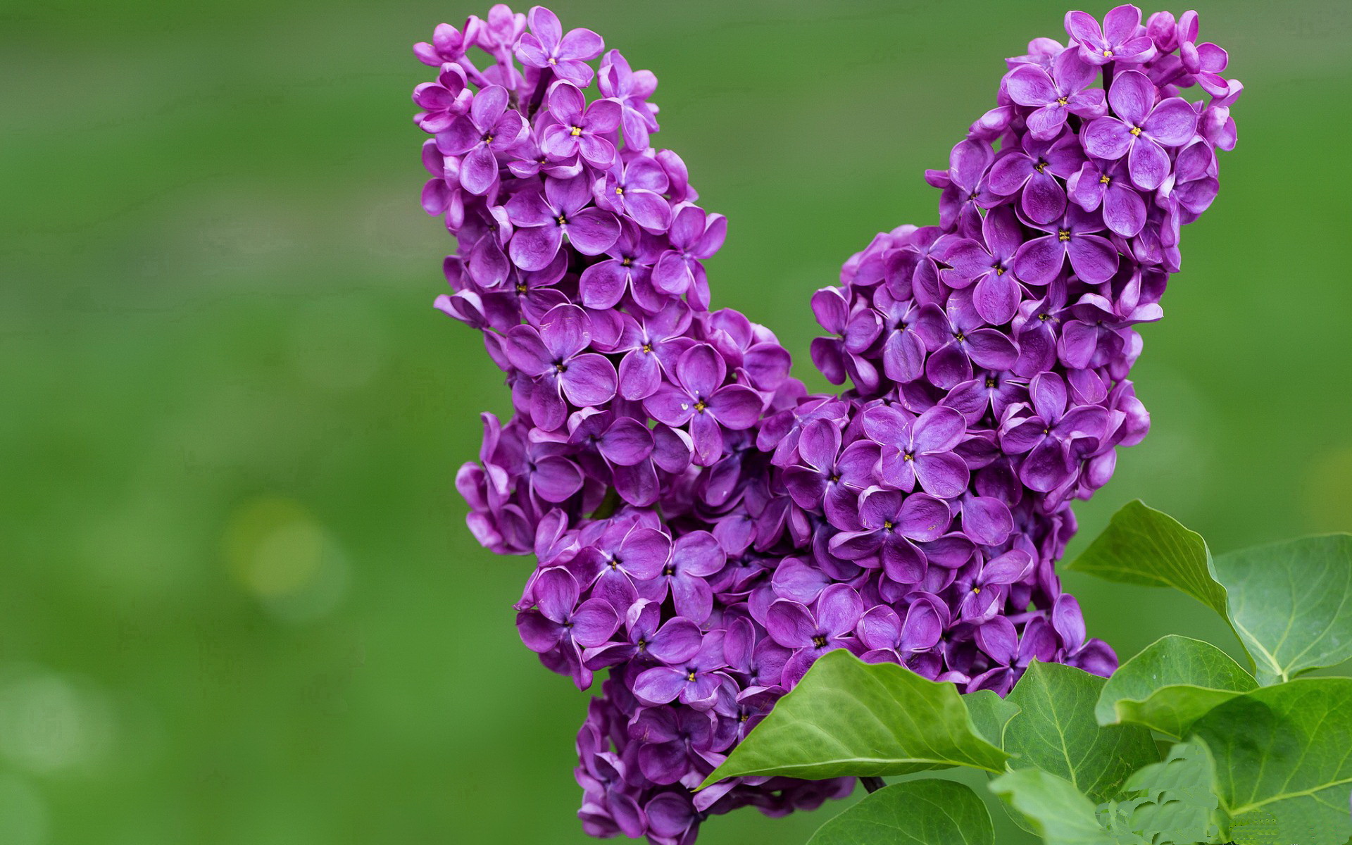 1.改写历史的90分钟，塞内加尔长矛刺穿韩国铁壁，奥运门票争夺战现惊天变局