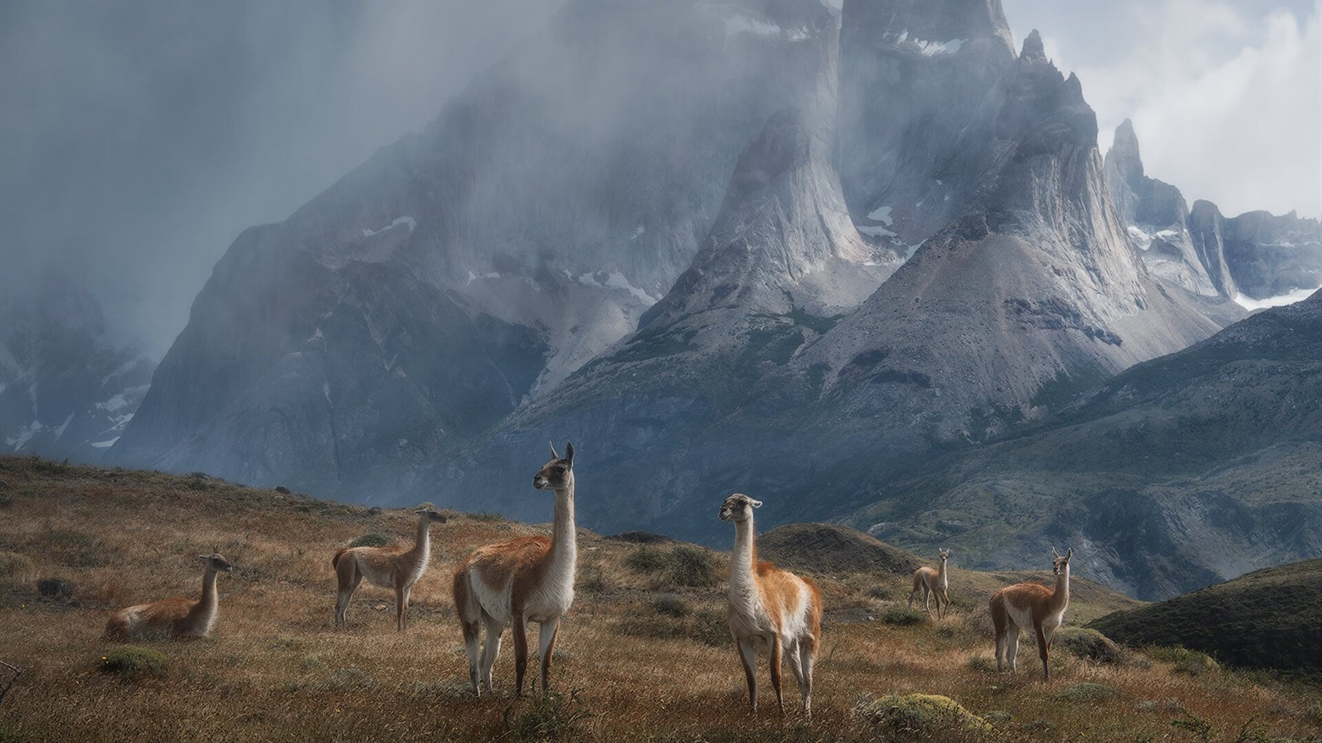 开云体育app-重写剧本，丹麦童话与奥地利战车的欧冠巅峰对决