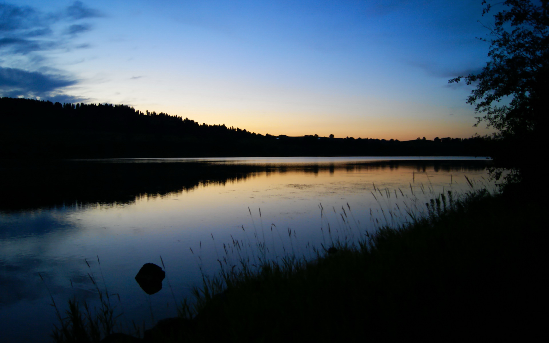 团队风暴与孤星破局，黄蜂得分浪潮中莫兰特的个人英雄主义