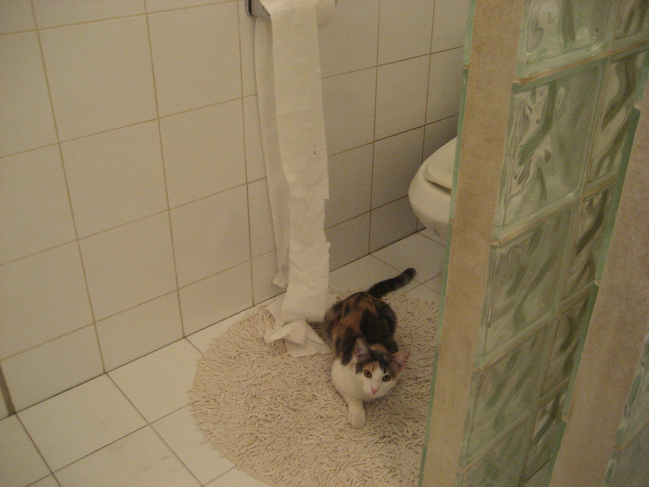 跨越时空的篮球启示,从安哥拉的团队韧劲到戈麦斯的个人英雄主义