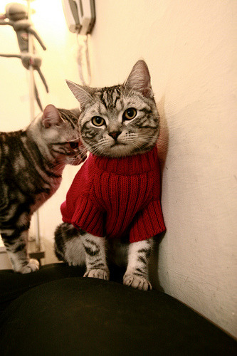 北欧风暴席卷黄色潜水艇，青春利刃刺穿技术流迷梦