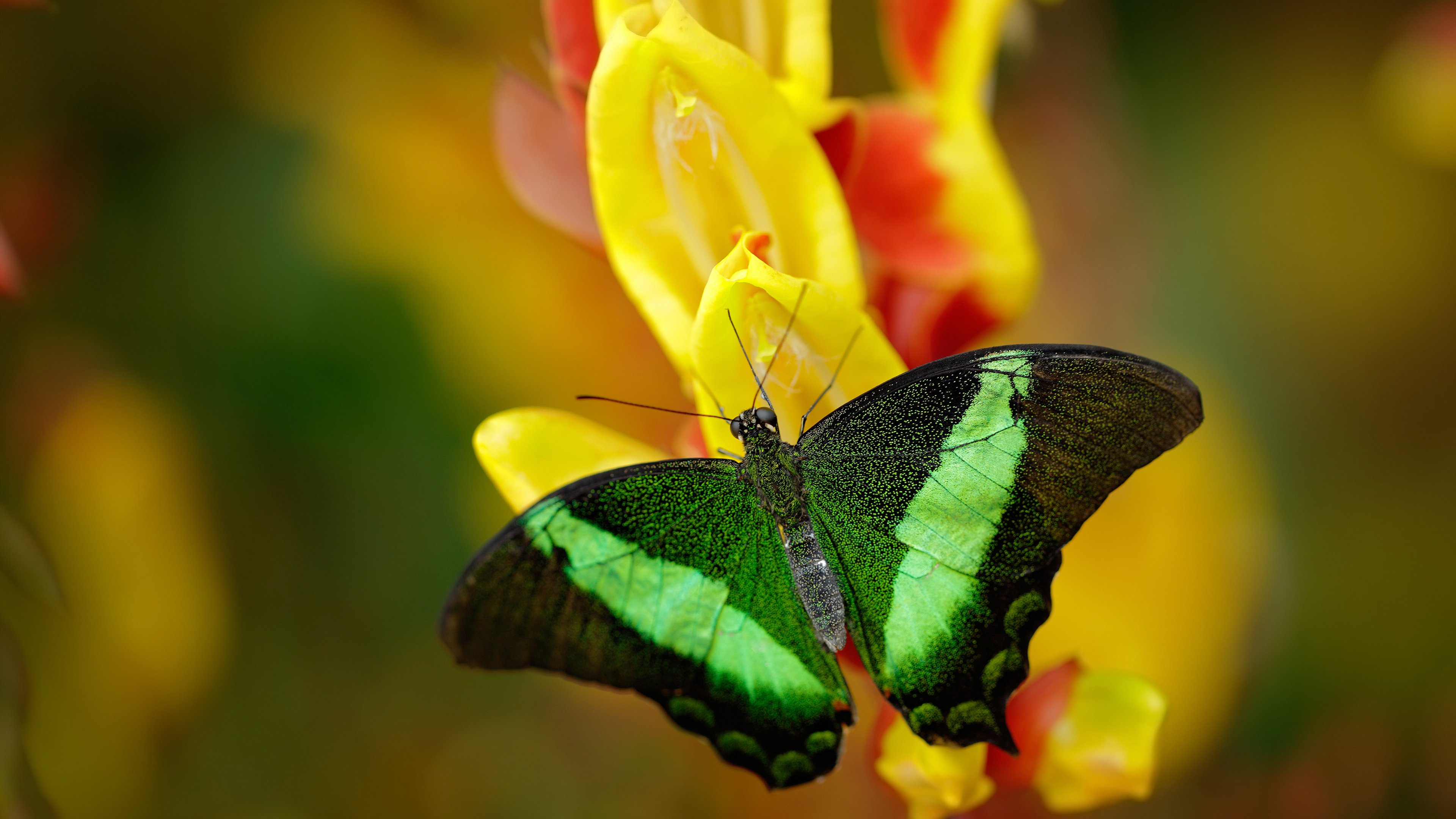 相隔6700公里，他们同时上演着奇迹